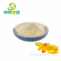 Estratto ginseng polvere 80% ginsenosides UV